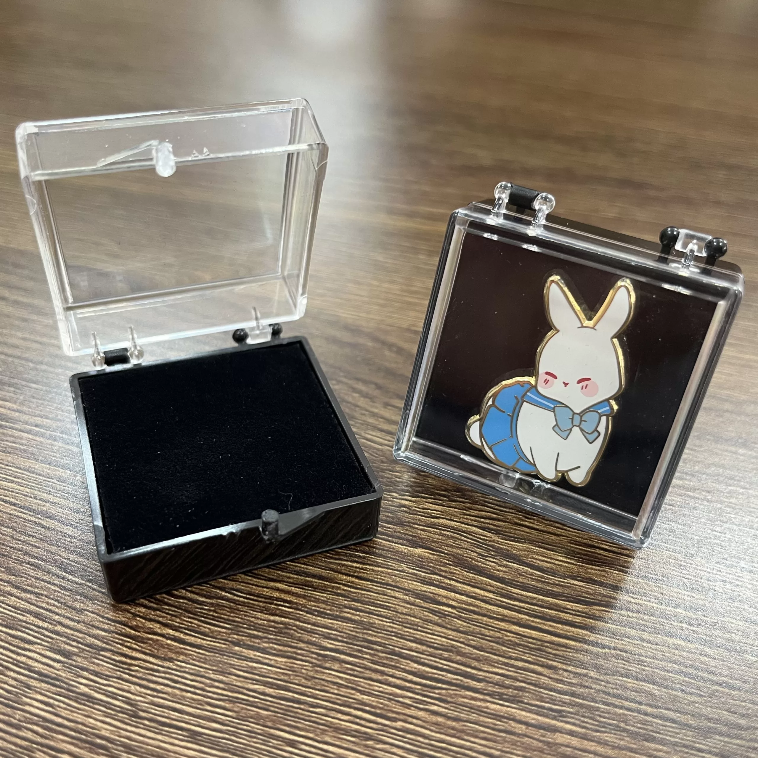 Acrylic Display Case: A clear case to showcase the pin design.
