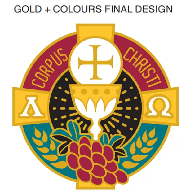 hard enamel lapel pin-grapes-original photo